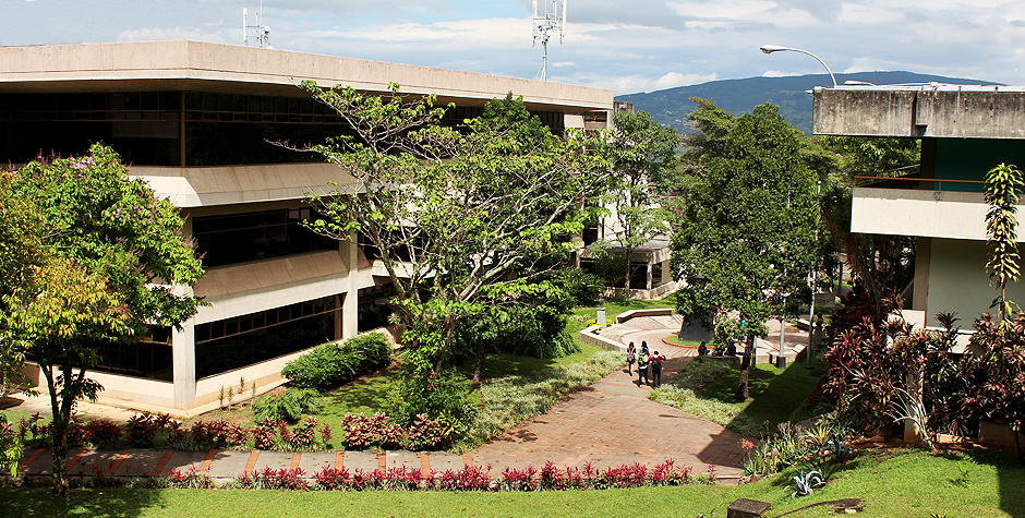 UNET-Pdvsa 01