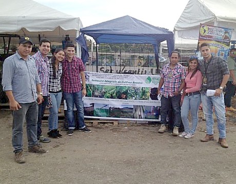 agronomia cinco maiz
